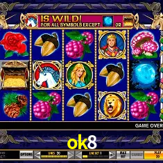 A Emoção da Loteria na ok8: Uma Chance de Mudança de Vida